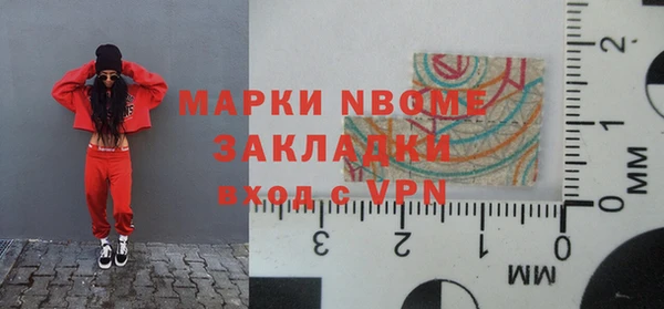 прущие грибы Богородицк