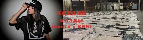 ПСИЛОЦИБИНОВЫЕ ГРИБЫ Богданович