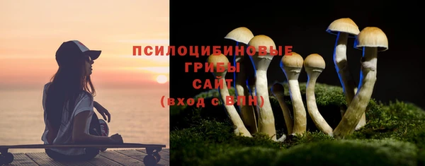 ПСИЛОЦИБИНОВЫЕ ГРИБЫ Богданович