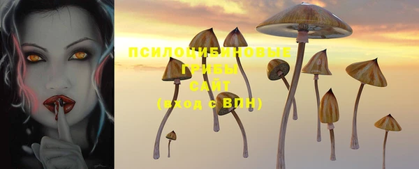 прущие грибы Богородицк