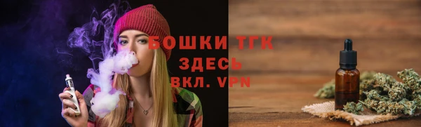 ПСИЛОЦИБИНОВЫЕ ГРИБЫ Богданович
