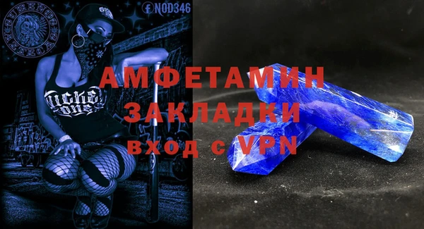 ПСИЛОЦИБИНОВЫЕ ГРИБЫ Богданович