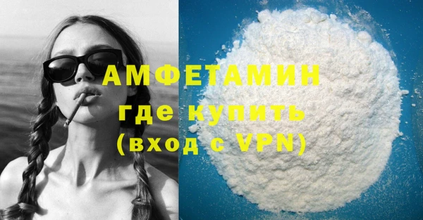ПСИЛОЦИБИНОВЫЕ ГРИБЫ Богданович
