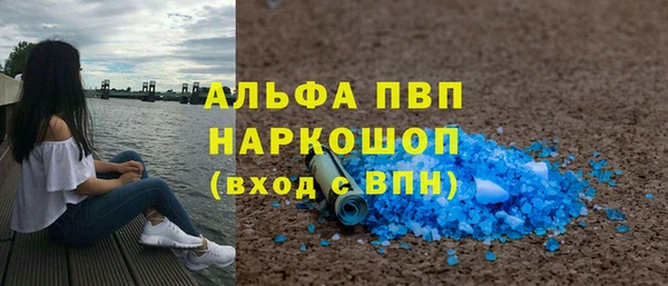 прущие грибы Богородицк