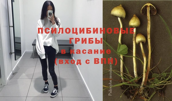 дурь Богородск