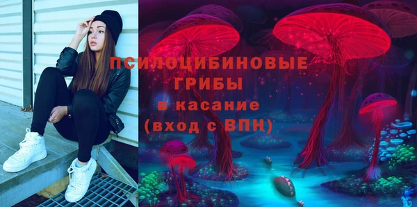 ПСИЛОЦИБИНОВЫЕ ГРИБЫ Богданович