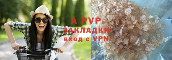 ПСИЛОЦИБИНОВЫЕ ГРИБЫ Богданович