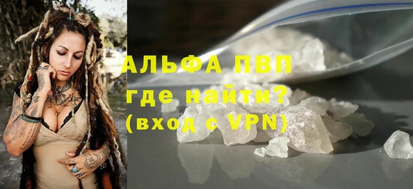 прущие грибы Богородицк