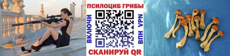 Псилоцибиновые грибы мухоморы  Купить  Тотьма 